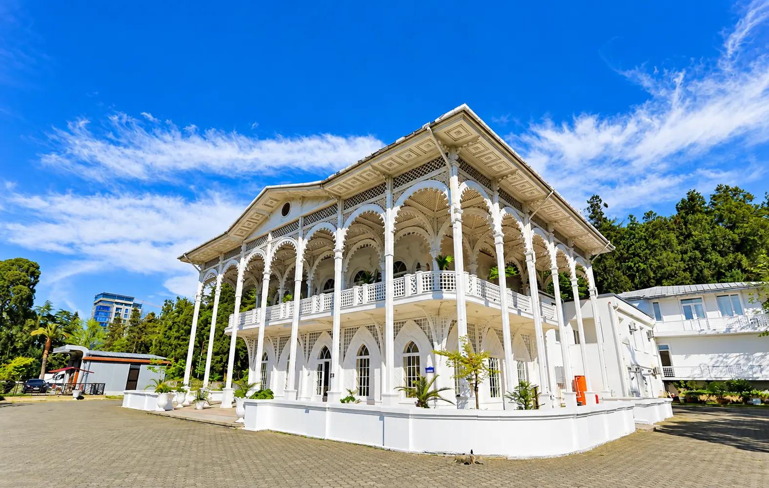 თეთრი სახლის თაღები და აივნები ბათუმში